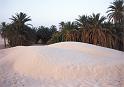 oaza na Sahare